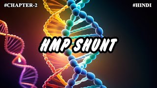 Chapter 2  Metabolism Of Carbohydrates Part11  HMP Shunt [upl. by Oniskey]