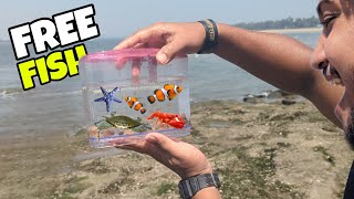 CATCHING SALTWATER FISH amp CRABS [upl. by Omari]