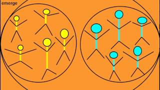 Functional Subgrouping The core method of SystemsCentered Training SCT [upl. by Emsoc]