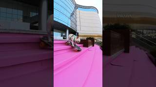 Conquering the pink carpet pets dog puppy funny shorts doglover [upl. by Naillimixam]