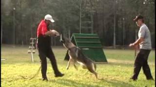 Alpha K9 Schutzhund Club Summer 2009 Training Highlights [upl. by Stagg]