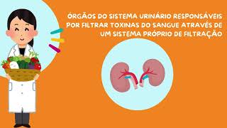 Orientações com a nutri sobre a doença renal crônica [upl. by Haag854]