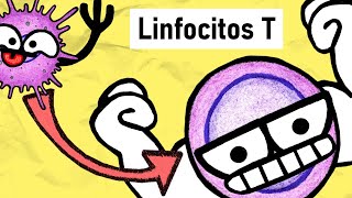 LINFOCITOS T  Activación Subpoblaciones y Funciones [upl. by Suravat]