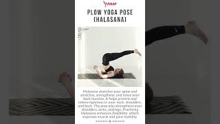 Benefits of Plow Yoga Pose Best for enhancing flexibility  Halasana [upl. by Notanhoj797]