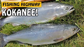 KOKANEE FISHING ON THE FISHING HIGHWAY  Deka and Hathoway Lake BC Canada  Fishing with Rod [upl. by Drugge552]