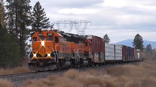 BNSF in Montana in October of 2024 Part 1 Whitefish Roadswitcher Mainline Manifests amp MRL SD70ACe [upl. by Azyl]