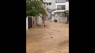 Floods  Skiathos Thessaly region Greece  September 05 2023 [upl. by Nolyar]