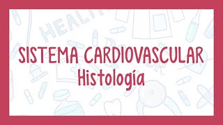 HISTOLOGÍA DEL SISTEMA CARDIOVASCULAR  ¡Fácil explicación [upl. by Ordisy]