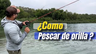 Pesca de LOBINA de ORILLA Consejos Señuelos y Técnicas [upl. by Huxley]