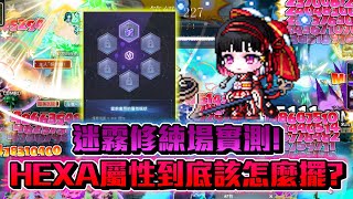 實測！HEXA屬性到底該怎麼擺？夜使者 新楓之谷 maplestory 花羽 메이플스토리 nightlords HEXA屬性 六轉 [upl. by Fisher340]