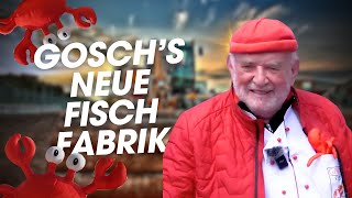 Gosch baut neue Fischfabrik [upl. by Lucien917]