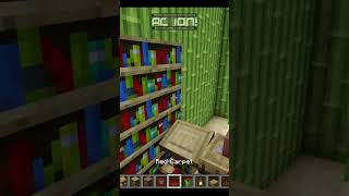 Minecraft Bookshelf [upl. by Nari]