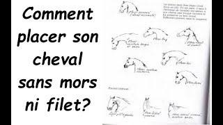 comment placer son cheval sans filet ni mors [upl. by Dnalyram]