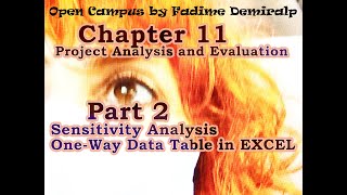 Sensitivity Analysis  One Way Data Table in Excel  Chapter 11 Part 2 [upl. by Dnomayd]