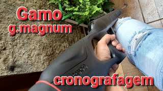 carabina Gamo gmagnum cronografagem [upl. by Melinde]