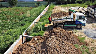 Amazing new project land filling into the Beam box with dump truck pouring and Bulldozer Mitsubishi [upl. by Elehcir]