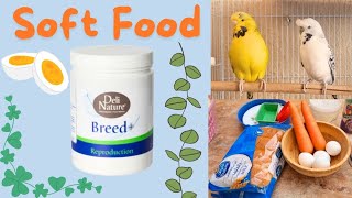 best soft food for exhibition budgies  deli nature breed  for finches and love birds softfood [upl. by Naynek844]