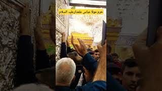 Abbas E Almdar 🙏 Shrine of Hazrat Abbas As karbala abbas as iraq shortvideo [upl. by Annod]