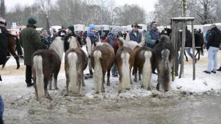 Ellwangen Kalter Markt 2017 [upl. by Navar]