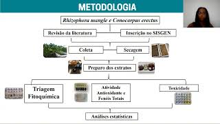 Rhizophora mangle L e Conocarpus erectus L perfil fitoquímico atividade antioxidante e toxicidade [upl. by Wind511]