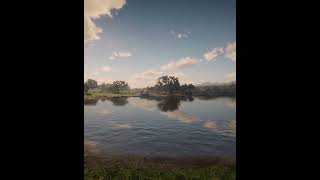 Amazing Ambiance of RDR2 rdr2 gaming openworldgame [upl. by Atte]