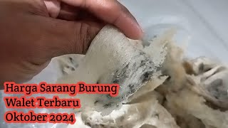 Update Harga Sarang Burung Walet Terbaru [upl. by Blaine379]