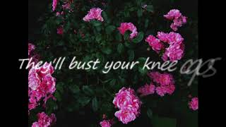 Pomplamoose  Bust Your Kneecaps  Lyrics [upl. by Catina645]