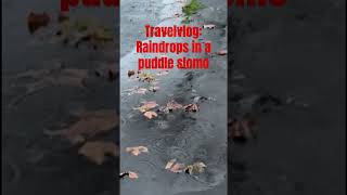 Travelvlog Raindrops in a puddle slowmotion rain rotherham uk subscribe sultantv audit like [upl. by Godard]