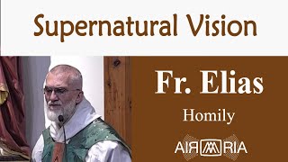 A Force For Purity  Sep 15  Homily  Fr Elias [upl. by Walt]