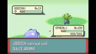 POKEMON EMERALD  SPHEAL  BARRERA  BARRIER [upl. by Tad]