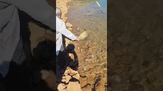 Yardibi Barajı Sazan Avı Saimbeyli Boncuklu Rig Takımı 😲😲😲🧿🧿🤗🎣🐬🐬🎣 fishing sazanavi carpfishing [upl. by Oijile705]