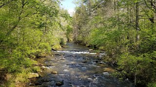 Eastatoe Passage Of The Palmetto Trail [upl. by Ahsatam432]