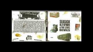 Seasick Steve8 ball [upl. by Amora73]