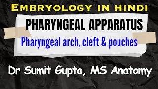 Pharyngeal apparatus embryology Hindi [upl. by Kipper]