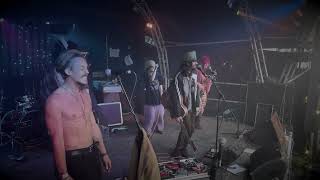 New Age Collective Live at Illusive Festival  Easy [upl. by Zoila528]