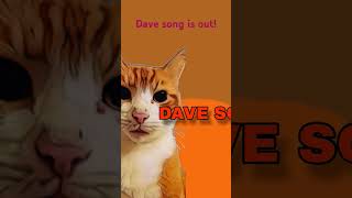 Dave song Is out cat cute catlover cutecat funnycats memes funny trend [upl. by Lenahs]