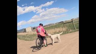 Rolling with B amp K Another BRAN training video gravel bicycling in Montana 6th Montana video [upl. by Corella557]