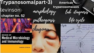 American Tryoanosomiasis Trypanosoma cruzimorphology life cycle pathogenesis lab diagnosis [upl. by Nohsed206]