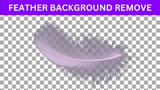 Feather Background Remove In Photoshop [upl. by Derriey]