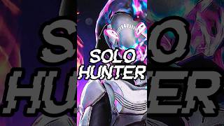 Do Hunters Have the Hardest Solo Damage [upl. by Ruamaj]