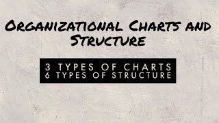 Organizational charts and structures Unit3 organizational behavior Tamil [upl. by Cavanagh]