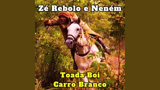 Toada Cavalo Segredo Com Trancelim [upl. by Ytrebil]