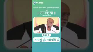 Morari bapu Rajkot Ramkatha [upl. by Civ336]