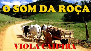 O Som Da Roça  02 HORAS DE MODÃO DE VIOLA  Viola CaipiraSertanejo Raiz [upl. by Tlihcox]