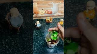 Chamanthi Recipe kerala style food cooking keralafood indianfood coconutrecipe [upl. by Jarlath]