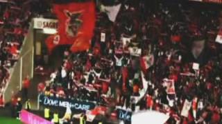 ♦ Sport Lisboa e Benfica  Campeão 20092010  Tributo ♦ [upl. by Marilyn705]