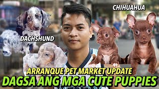 MGA BAGONG ALOK NG ARRANQUE PET MARKET  APRIL 18 2024 [upl. by Jervis]