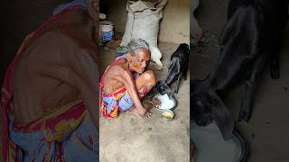 105 year old widow grandma eating Chicken curry Village rural life [upl. by Krahmer840]