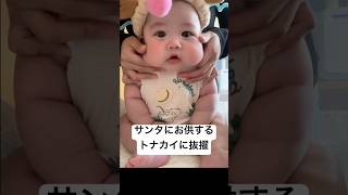 サンタのソリをひくトナカイに抜擢された赤ちゃん baby 赤ちゃん クリスマス トナカイ 実況 実況ベイビー [upl. by Lahcear]