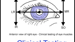 Clinical testing extraocular muscles tutorial [upl. by Eiblehs727]